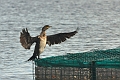 15 03 00_0797_edited-1